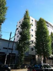 ティエドゥール麻布台サムネイル