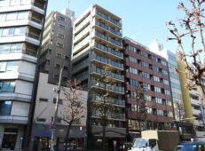 ライオンズマンション西麻布シティサムネイル