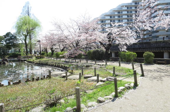 画像204