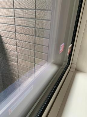 画像203